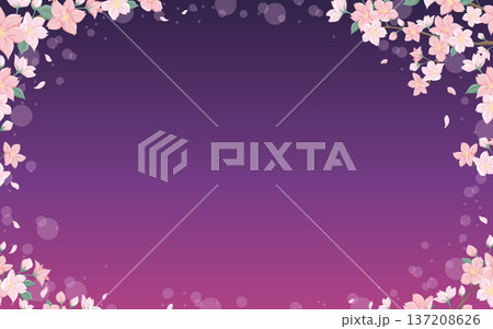 夜桜の背景素材 幻想的な紫グラデーション 高級感のある和モダンな飾り枠 137208626
