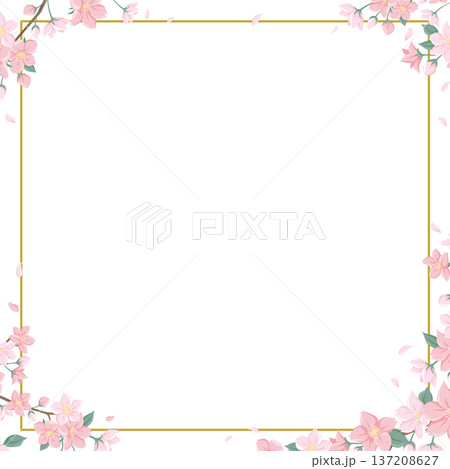 桜の正方形フレーム 金枠 透過背景 卒業入学お祝いメッセージカード素材 137208627