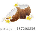 Watercolor illustration of whole and half coconuts with plumeria flowers. Hand painted tropical fruit composition highlighting fresh coconut meat and natural ingredients for food and wellness projects 137208836