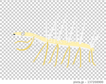 沒有主線的幻覺草波普插畫 沒有主線的幻覺草波普插畫 137208900