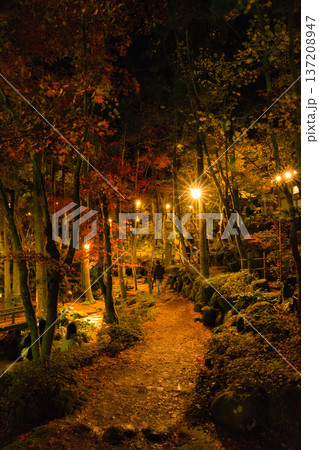 松雲山荘の夜を彩る幻想的な紅葉ライトアップと静かな散策路 137208947