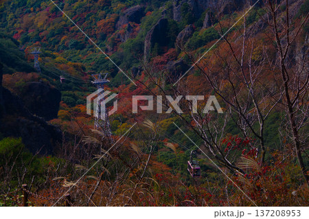 寒霞渓山頂からの紅葉の風景 137208953