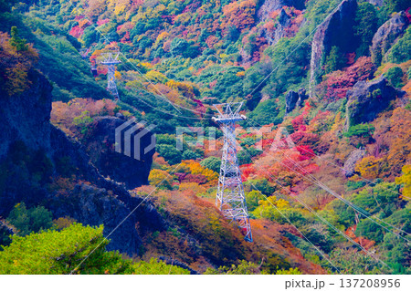 寒霞渓山頂からの紅葉の風景 137208956