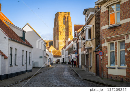 ベルギーの白い村 リッセウェヘの街並みと教会の塔 137209235