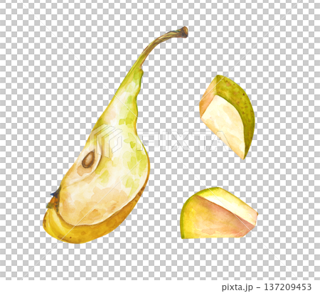 Watercolor quarter of a pear with a core and a peduncle and sliced pieces of a pear. Realistic botanical illustration on an isolated background. A juicy fruit clipart in natural colors for menus and 137209453