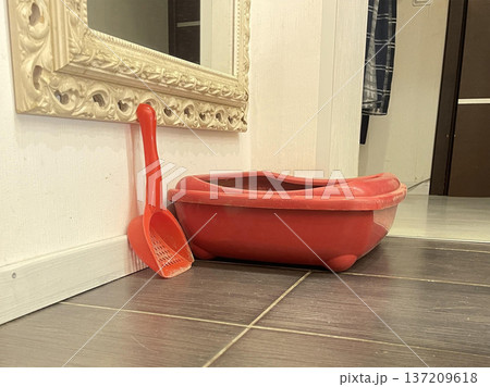 cat litter box in the corner with room cat litter box in the corner with room 137209618
