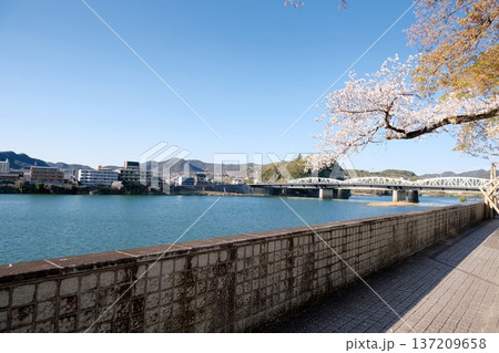 愛知県犬山市_犬山橋13_2025年4月 愛知県犬山市_犬山橋13_2025年4月 137209658