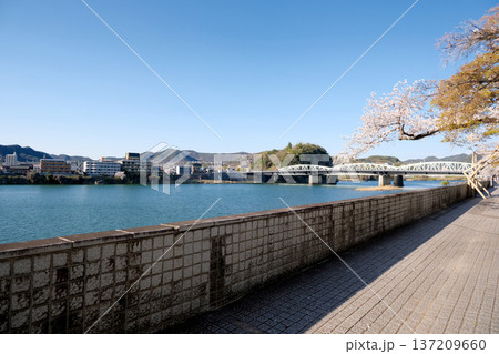 愛知県犬山市_犬山橋14_2025年4月 愛知県犬山市_犬山橋14_2025年4月 137209660