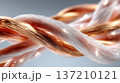 銅色と透明の繊維が絡み合う抽象的なマクロイメージ 137210121