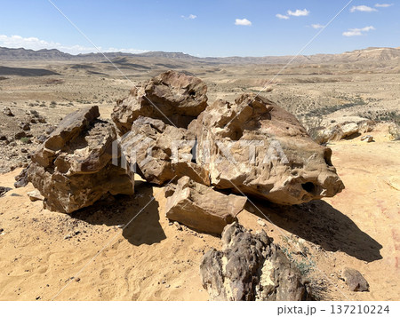 Tree trunk fossils in Makhtesh Gadol Tree trunk fossils in Makhtesh Gadol 137210224