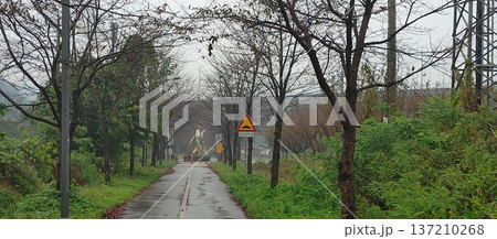 Han River bike path 137210268