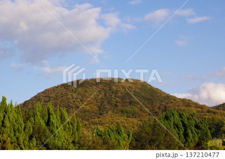 香川県豊島の山の風景 137210477