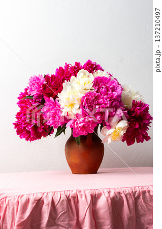 A vibrant arrangement of pink and white peonies fills a ceramic vase, placed on a soft pink tablecloth. The flowers add a cheerful touch to any room, ideal for spring decor A vibrant arrangement of pink and white peonies fills a ceramic vase, placed on a soft pink tablecloth. The flowers add a cheerful touch to any room, ideal for spring decor 137210497