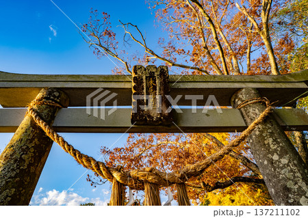 永尾剱神社の参道と鳥居の風景（宇城市） 137211102