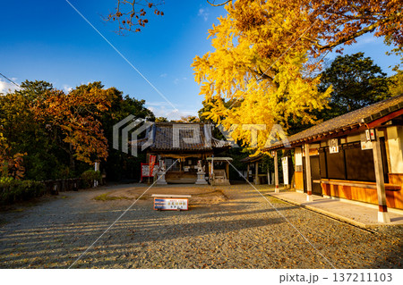 永尾剱神社の参道と鳥居の風景(宇城市) 永尾剱神社の参道と鳥居の風景(宇城市) 137211103