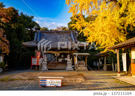 永尾剱神社の参道と鳥居の風景（宇城市） 137211104