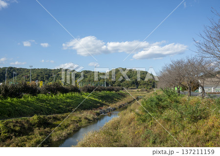 Han River bike path 137211159