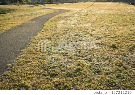 散歩道 137211210
