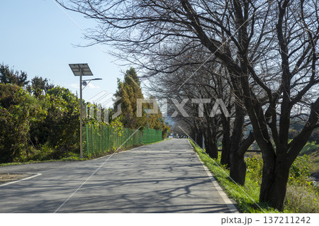 Han River bike path Han River bike path 137211242