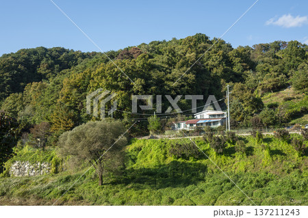 Han River bike path Han River bike path 137211243