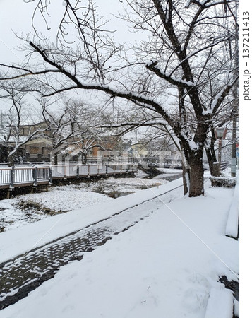 雪の積もった葛西用水の風景(縦構図) 137211413