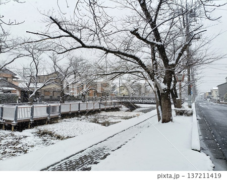 雪の積もった葛西用水の風景(横構図) 雪の積もった葛西用水の風景(横構図) 137211419