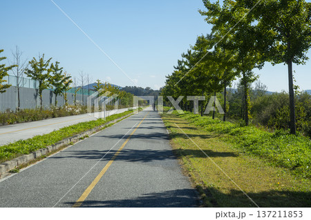 Han River bike path 137211853