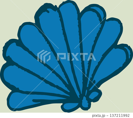 Blue seashell from Mediterranean sea 137211992