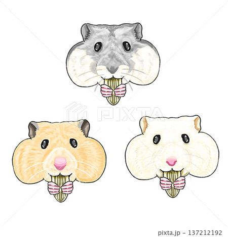 ハムスター3種 137212192