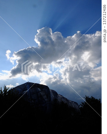逆光に浮かぶ夏雲と空の風景 逆光に浮かぶ夏雲と空の風景 137212486