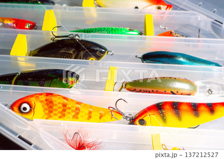Fishing Tackle Box Organized with Various Lures. Fishing equipment and accessories 137212527