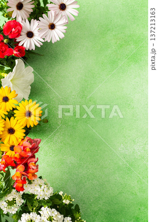 A beautiful array of spring flowers in various colors adorns a balcony, bringing life and brightness to the outdoor area. The flowers add joy and warmth to the setting A beautiful array of spring flowers in various colors adorns a balcony, bringing life and brightness to the outdoor area. The flowers add joy and warmth to the setting 137213163