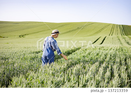 A woman in overalls and a hat gently touches the stalks of a young wheat field under a clear blue sky 137213359