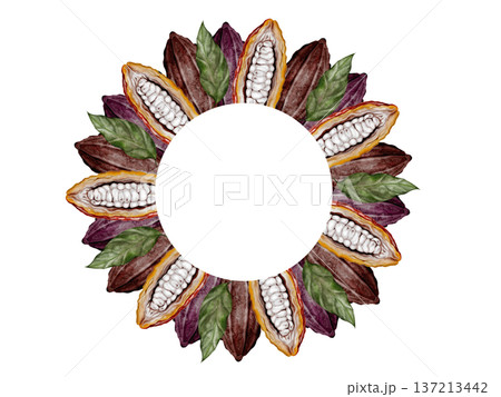 Cocoa beans and pods watercolor round frame. Superfood clip art. Hand-drawn watercolor illustration on a white background. For chocolate and cocoa product designs. 137213442