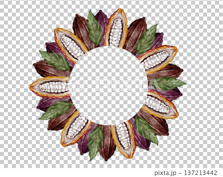 Cocoa beans and pods watercolor round frame. Superfood clip art. Hand-drawn watercolor illustration on a white background. For chocolate and cocoa product designs. 137213442