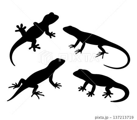 set of black lizard silhouettes vector illustration 137213719