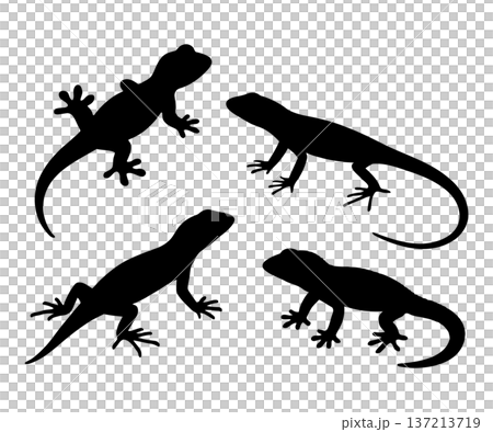 set of black lizard silhouettes vector illustration 137213719