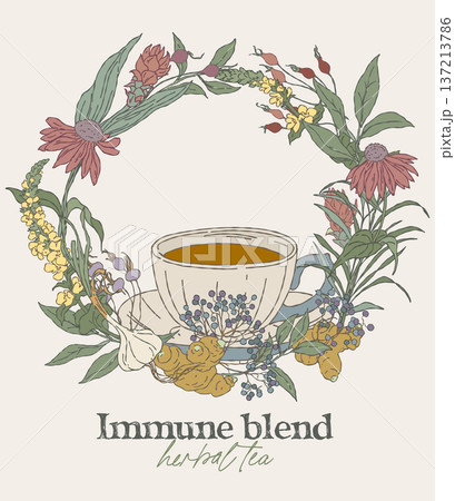 Hand drawn immune herbal blend wreath with tea cup 137213786