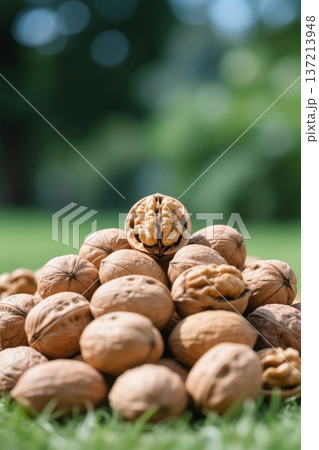クルミ ピーカン パガン 137213948