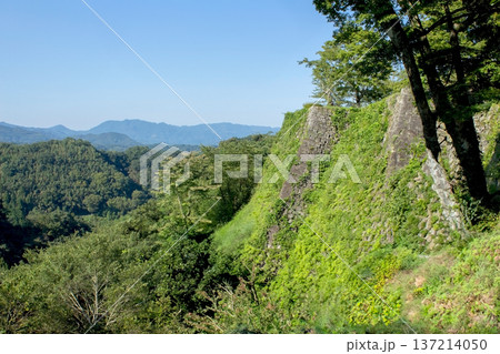 竹田市の岡城址 竹田市の岡城址 137214050