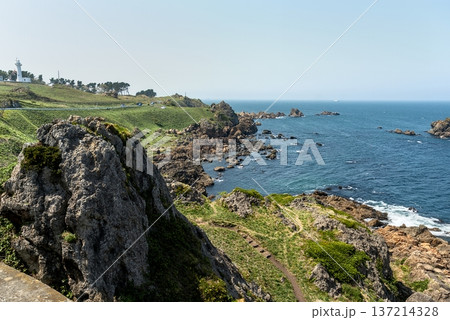 八戸市・葦毛崎展望台から見下ろす岩礁とパノラマ、三陸復興国立公園のダイナミックな海岸線 137214328