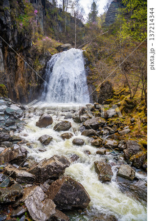 Korbu waterfall near Teletskoye lake in Altai Russia. Powerful stream of water falling from cliff surrounded by wild forest Korbu waterfall near Teletskoye lake in Altai Russia. Powerful stream of water falling from cliff surrounded by wild forest 137214344