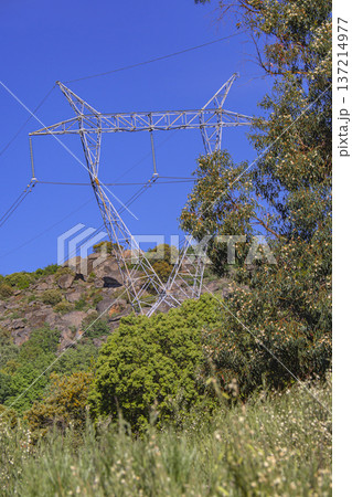 Electric Tower 137214977