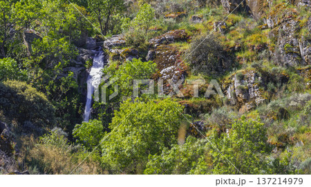 Pozo Airon Waterfall Walking Route, Spain 137214979