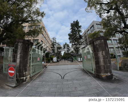 京都大学 京都大学 137215091