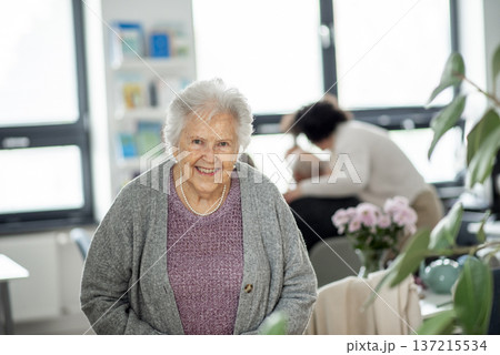 Smiling elderly woman looking at camera. Smiling elderly woman looking at camera. 137215534