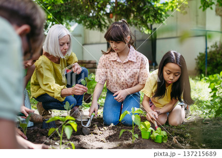 Portrait of students and female teacher at outdoor sustainable education class. Planting vegetable seedling, herbs in soil. 137215689