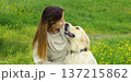 Happy owner young woman with Golden Retriever dog sitting on grass together in summer park 137215862