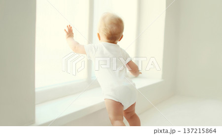 Little baby looking out the window in white room at home 137215864
