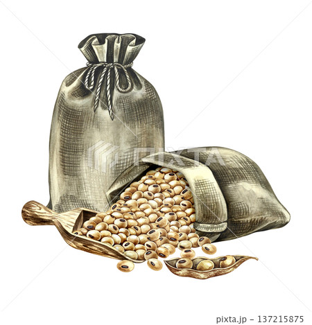 Burlap bags with soybeans and a wooden scoop. Hand-drawn watercolor illustration. Perfect for creating product labels, posters, banners, menus, and more. 137215875